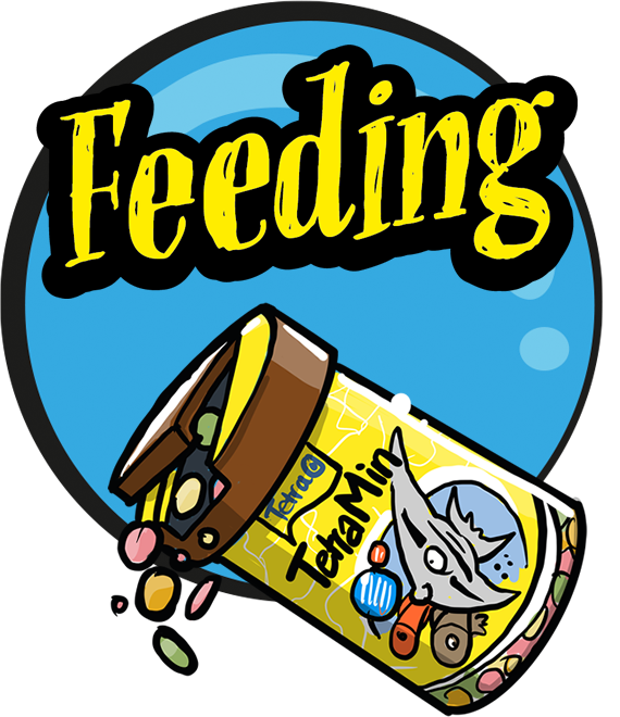 Feeding