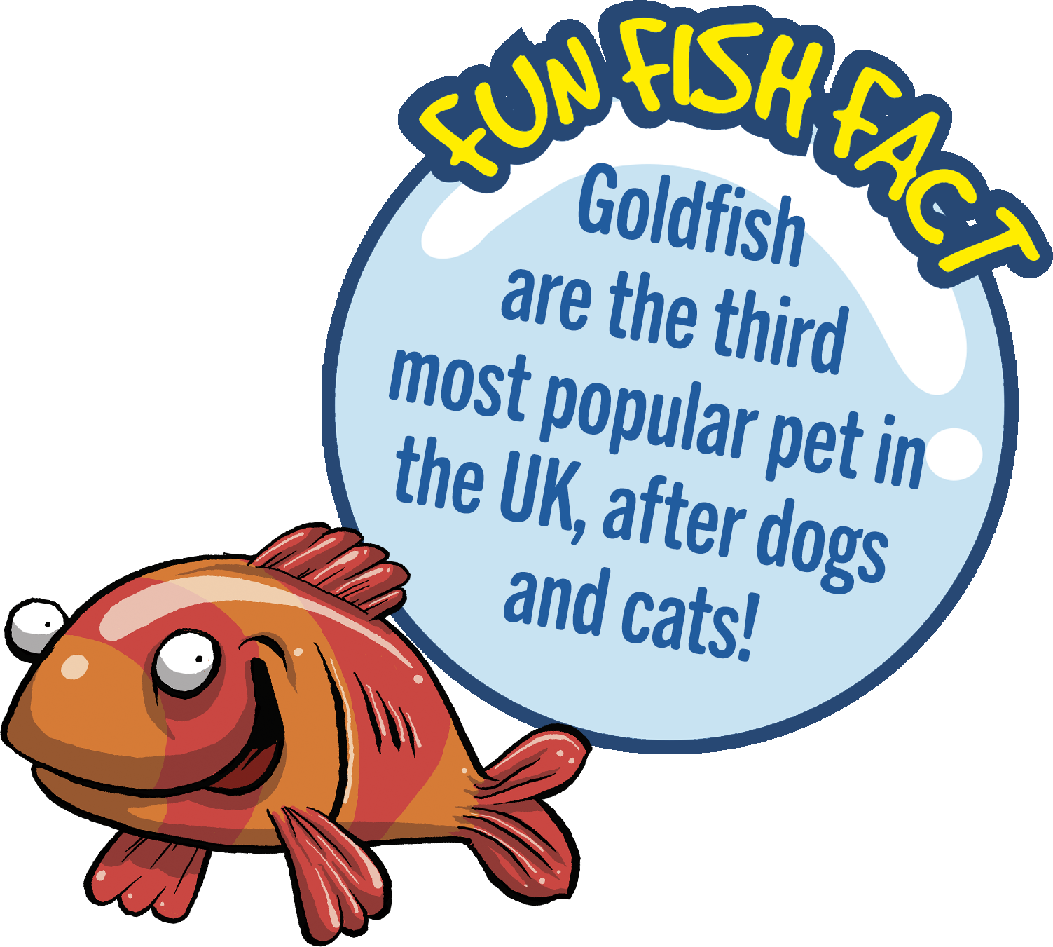 Goldfish are the third most popular pet in the UK, after dogs and cats!