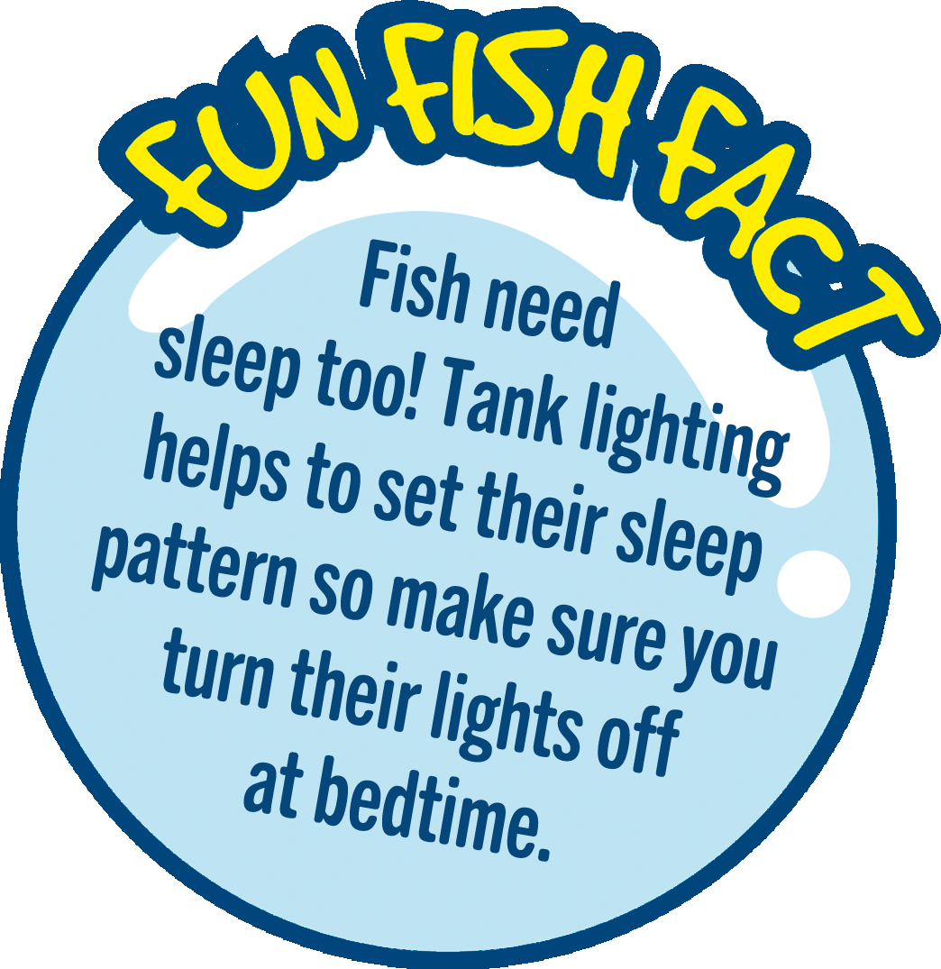 : Fish need sleep too! Tank lighting helps to set their sleep pattern so make sure you turn their lights off at bedtime.